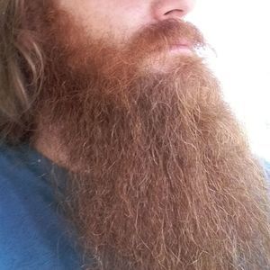 Meet your Posher, Dan